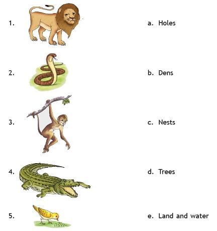 Worksheet Solution: Animals in the Wild - Notes | Study Science for Class 2 - Class 2