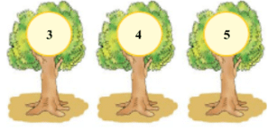 Numbers from One to Nine NCERT Solutions | Mathematics for Class 1: NCERT