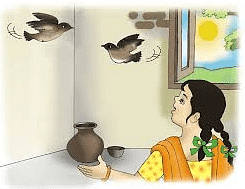 NCERT Solutions - Nina and the Baby Sparrows Notes | Study NCERT Textbooks & Solutions for Class 3 - Class 3