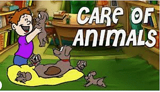 Take care of animals - Class 1