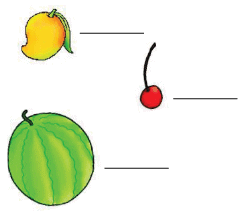 Shapes and Space NCERT Solutions | Mathematics for Class 1: NCERT
