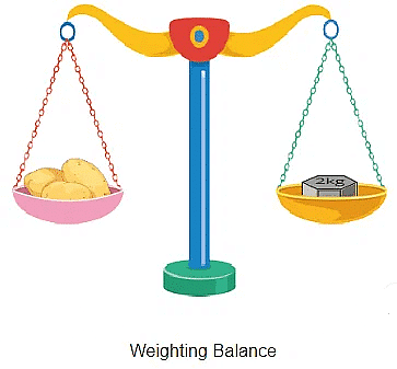 Measurement of Length, Weight, Capacity, Time and Area