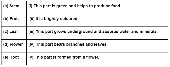 Worksheet Solution: Parts of a Plant Notes | Study Science for Class 3 - Class 3