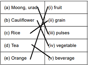 Worksheet Solution: Food from Plants - Notes | Study Science for Class 1 - Class 1