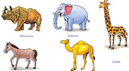 Chapter Notes: Animals Around Us - Notes | Study Science for Class 1 - Class 1 Chapter Notes: Animals Around Us - Notes | Study Science for Class 1 - Class 1