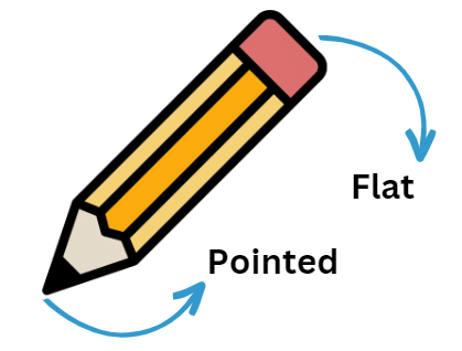 What is Long, What is Round? Chapter Notes | Mathematics for Class 2: NCERT