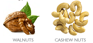 Common Nuts