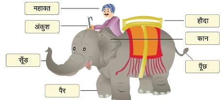 NCERT Solutions - हाथी चल्लम चल्लम Notes | Study Hindi for Class 1 - Class 1