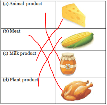 Worksheet Solution: Food we Eat - Notes | Study Social Science for Class 1 - Class 1 Worksheet Solution: Food we Eat - Notes | Study Social Science for Class 1 - Class 1