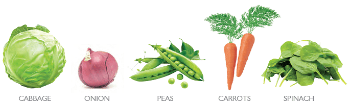 Common Vegetables
