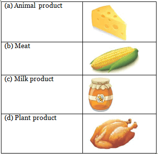 Worksheet Solution: Food we Eat - Notes | Study Social Science for Class 1 - Class 1 Worksheet Solution: Food we Eat - Notes | Study Social Science for Class 1 - Class 1