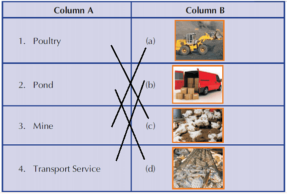 worksheet-solutions-occupation-1-social-science-for-class-3-pdf-download