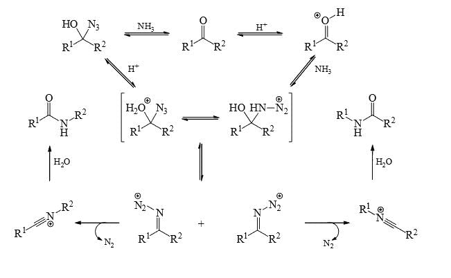 Nitrenes And Carbenes: Stability And Reactions - Organic Chemistry PDF ...