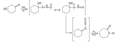 Nitrenes And Carbenes: Stability And Reactions - Organic Chemistry PDF ...