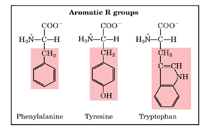 Amino Acids: Properties, Structure & Classification Notes | Study Organic Chemistry - Chemistry