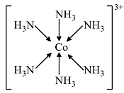 Werner’s Theory - Coordination Chemistry Notes | Study Inorganic Chemistry - Chemistry