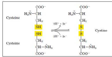 Amino Acids: Properties, Structure & Classification Notes | Study Organic Chemistry - Chemistry
