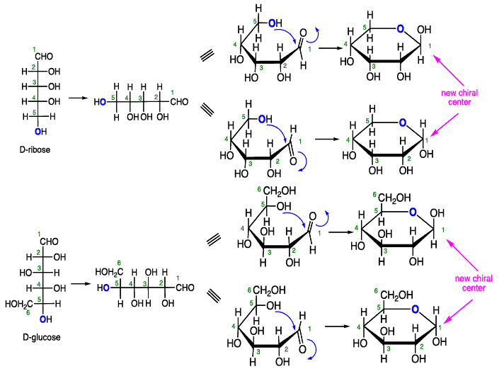 Introduction to Biomolecules and Carbohydrates Organic Chemistry PDF Download