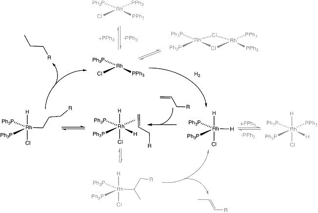 Mechanism for the hydrogenation of an alkene catalyzed by the homogeneous catalyst Wilkinson`s catalyst.