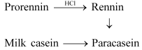 NCERT Solutions: Digestion & Absorption - Notes | Study Biology Class 11 - NEET