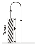 Motion under Gravity - Notes | Study Physics For JEE - JEE