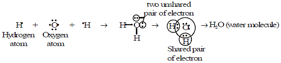 H2O Molecule Formation