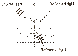 Polarization of Light Notes | Study Physics For JEE - JEE
