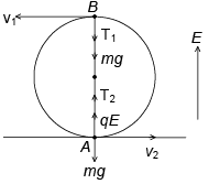 Integer Answer Type Questions for JEE: Electrostatics | Chapter-wise Tests for JEE Main & Advanced