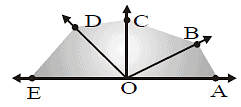 assignment on lines and angles class 9