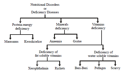Types of Diseases | Chemistry for Class 9