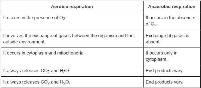 NCERT Solutions for Class 10 Science Chapter 5 - Life Processes
