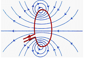 Magnetic Lines of Force around a Circular Coil