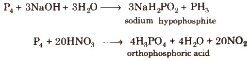 Group-15 Elements: Nitrogen Family Notes | Study Chemistry Class 11 - NEET