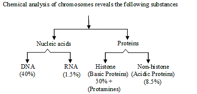 Nucleic Acids: Structure & Bonding Notes | Study Biology Class 11 - NEET