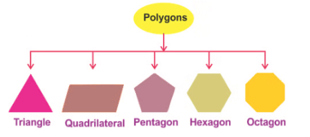 Overview: Polygons | Quantitative Aptitude for SSC CGL