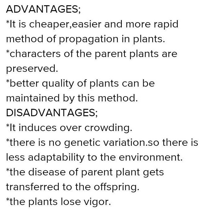 write-two-advantages-and-two-disadvantages-of-vegetative-propagation