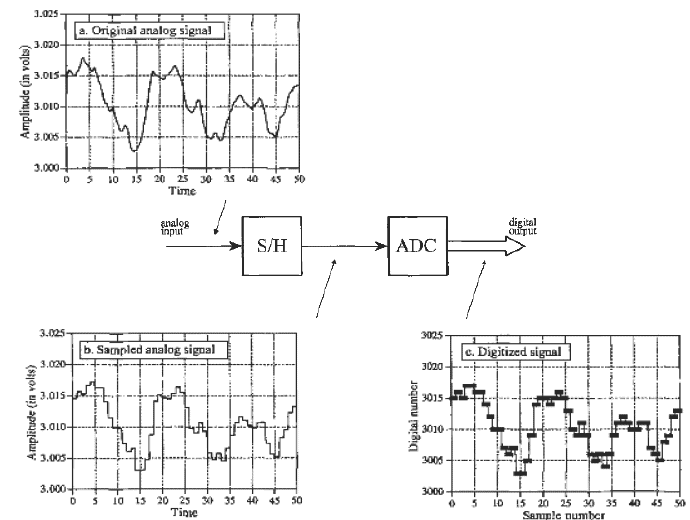 Chapter Data Acquisition and Digital Signal Processing, PPT, Semester