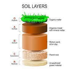 Soil is the thin layer of material covering the earth's surface