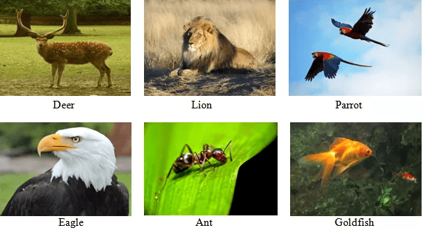 Chapter Notes - Conservation of Plants & Animals - Notes | Study Science Class 8 - Class 8 Chapter Notes - Conservation of Plants & Animals - Notes | Study Science Class 8 - Class 8