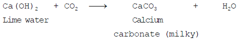 Aerobic & Anaerobic Respiration | Science Class 10