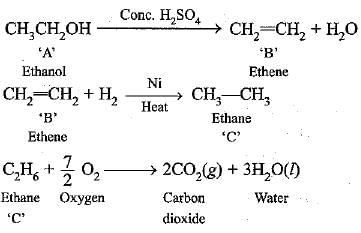 NCERT Exemplar: Carbon & its Compounds | Science Class 10