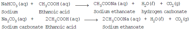 Some Important Carbon Compounds – Ethanol And Ethanoic Acid | Science Class 10