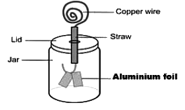 Case Study Based Questions: Some Natural Phenomena | Science Class 8