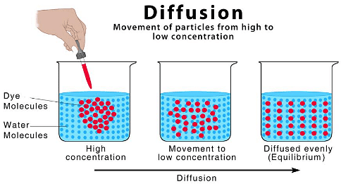 Fig: Diffusion