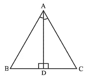 Worksheet: Triangles | Mathematics (Maths) Class 9