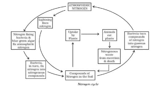 NCERT Summary: Microorganisms - Friend & Foe Notes | Study Science Class 8 - Class 8