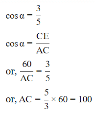 Class 10 Maths Chapter 9 Practice Question Answers - Some Applications of Trigonometry