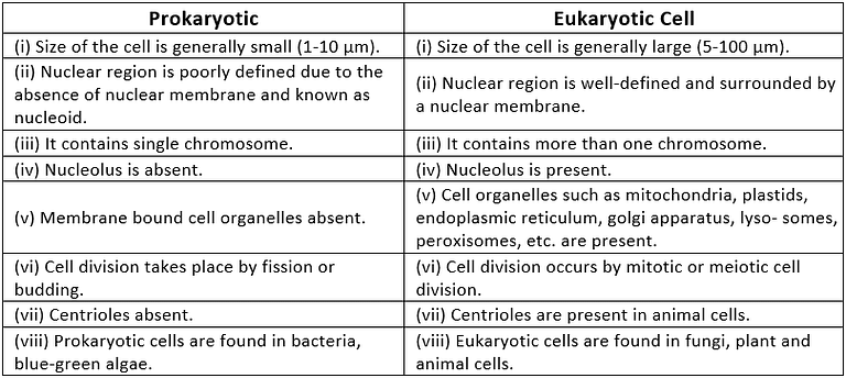 NCERT Solutions: Cell- The Fundamental Unit Of Life - Notes | Study Science & Technology for UPSC CSE - UPSC