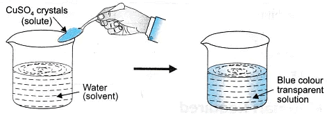 Lab Manual: Solution, Colloids And Suspension - Lab Manuals For Class 9 ...