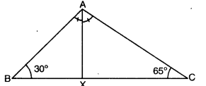 Short Question Answer: Triangles | Mathematics (Maths) Class 9